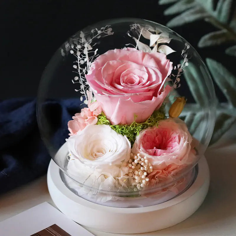 Glass Cover Dried Flower Ornament Gift