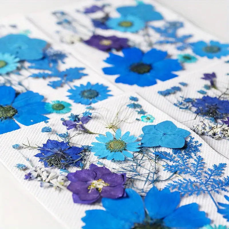 15pcs DIY Dried Flowers for Scrapbooking & Bookmark Making