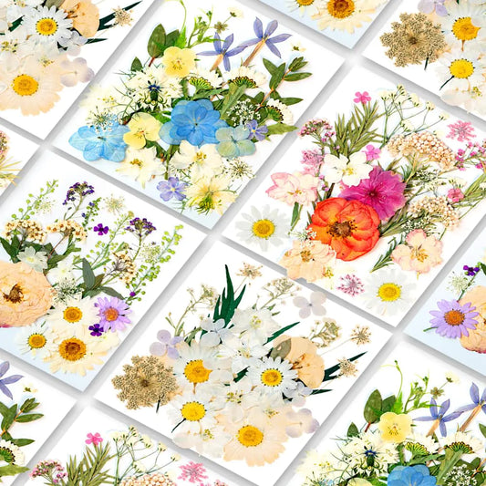 Blaflo 105Pcs Subtle Colors Flowers for Resin Model Real Pressed Flowers Dry Leaves Bulk Natural Herbs Kit for Scrapbooking DIY Art Crafts Epoxy Jewelry Candle Soap Making Nails Decor