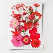 15pcs DIY Dried Flowers for Scrapbooking & Bookmark Making