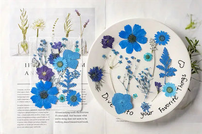 15pcs DIY Dried Flowers for Scrapbooking & Bookmark Making