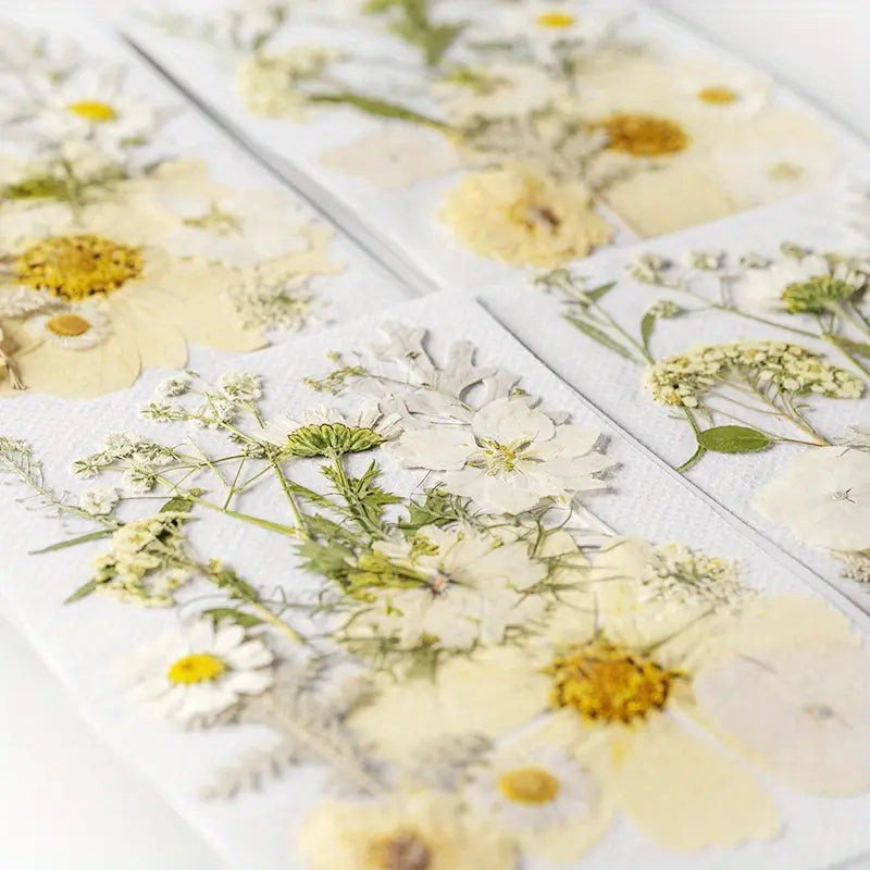15pcs DIY Dried Flowers for Scrapbooking & Bookmark Making