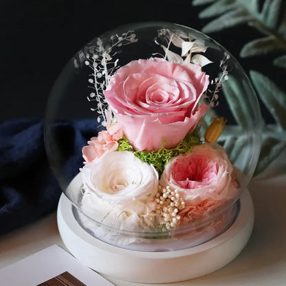 Glass Cover Dried Flower Ornament Gift