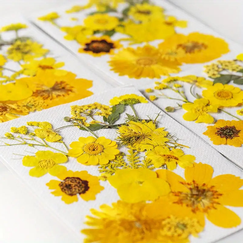 15pcs DIY Dried Flowers for Scrapbooking & Bookmark Making