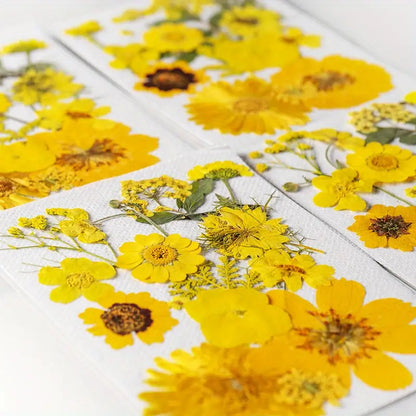 15pcs DIY Dried Flowers for Scrapbooking & Bookmark Making