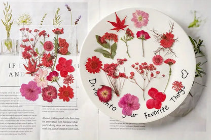 15pcs DIY Dried Flowers for Scrapbooking & Bookmark Making