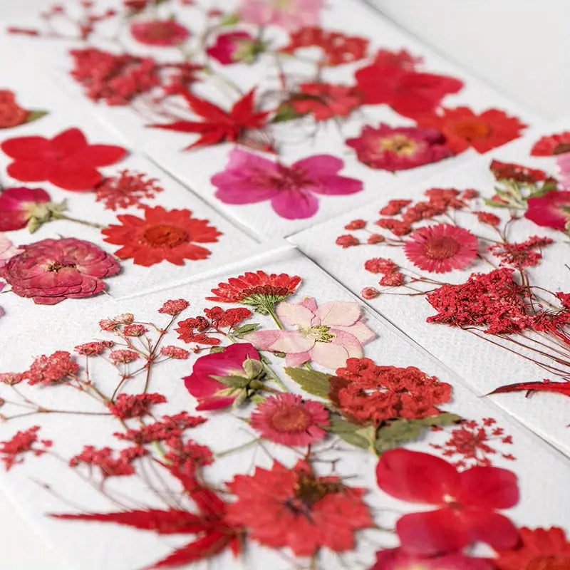 15pcs DIY Dried Flowers for Scrapbooking & Bookmark Making