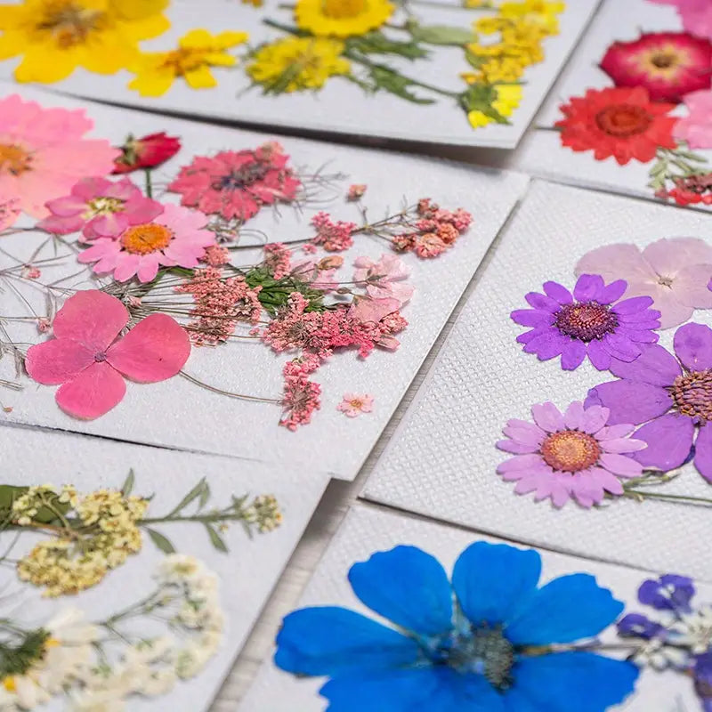 15pcs DIY Dried Flowers for Scrapbooking & Bookmark Making