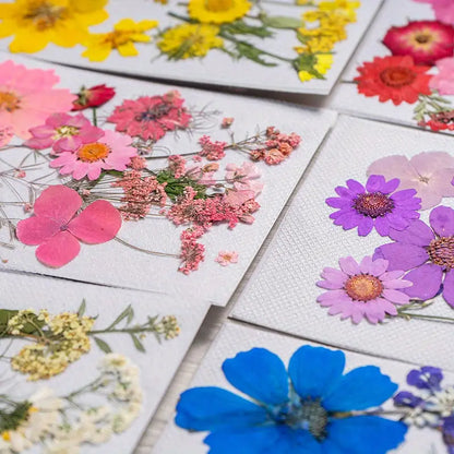 15pcs DIY Dried Flowers for Scrapbooking & Bookmark Making