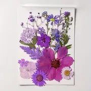 15pcs DIY Dried Flowers for Scrapbooking & Bookmark Making