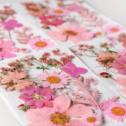 15pcs DIY Dried Flowers for Scrapbooking & Bookmark Making