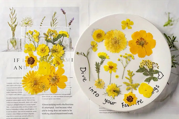 15pcs DIY Dried Flowers for Scrapbooking & Bookmark Making