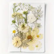 15pcs DIY Dried Flowers for Scrapbooking & Bookmark Making