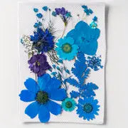 15pcs DIY Dried Flowers for Scrapbooking & Bookmark Making