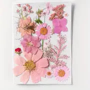 15pcs DIY Dried Flowers for Scrapbooking & Bookmark Making
