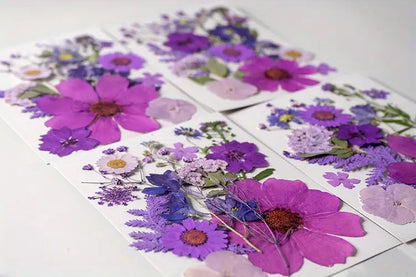 15pcs DIY Dried Flowers for Scrapbooking & Bookmark Making